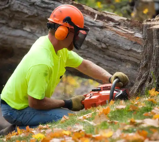 tree services Coleraine